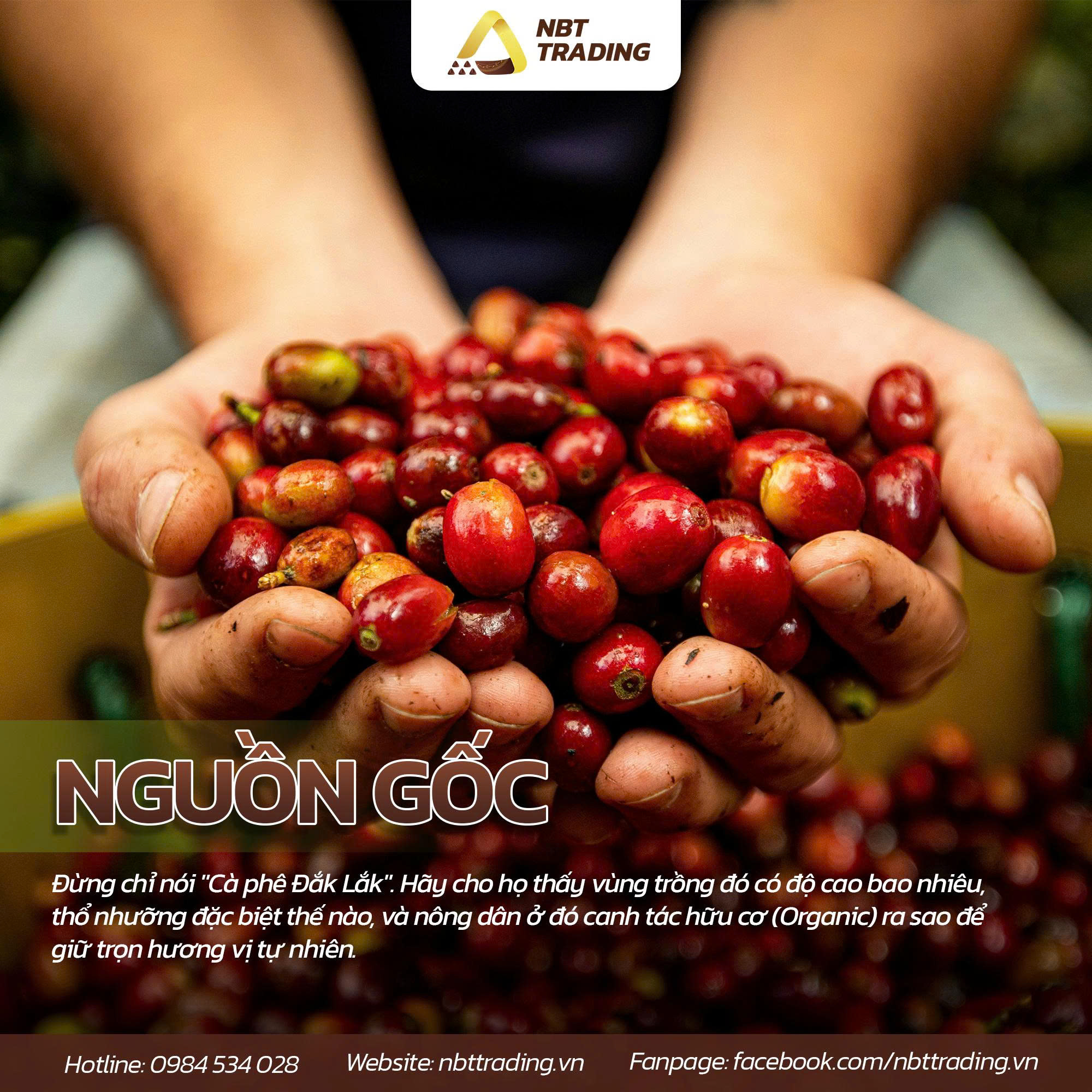 câu chuyện thương hiệu nông sản 1